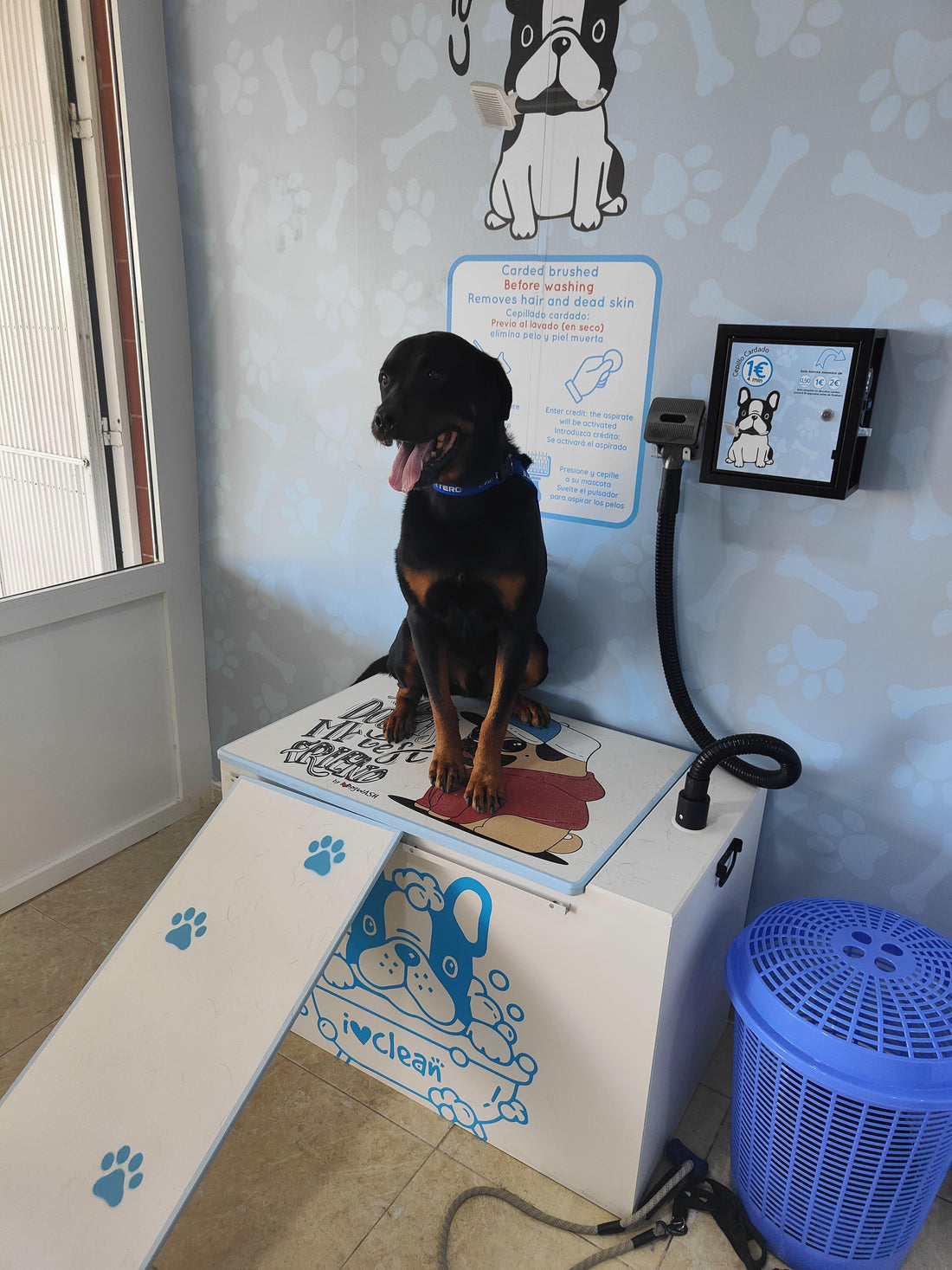 ¿Cómo se usa la zona de cardado? - www.ilovedogwashorihuelacosta.com